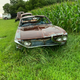 Illustration for article titled Barn Find the guy tells me. 66 C10 Longbed Also help guess years for other cars.